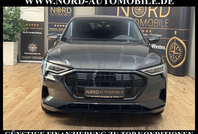 Audi e-tron e-tron 50 QU.S-Line Teilleder/Kamera/Navi/21