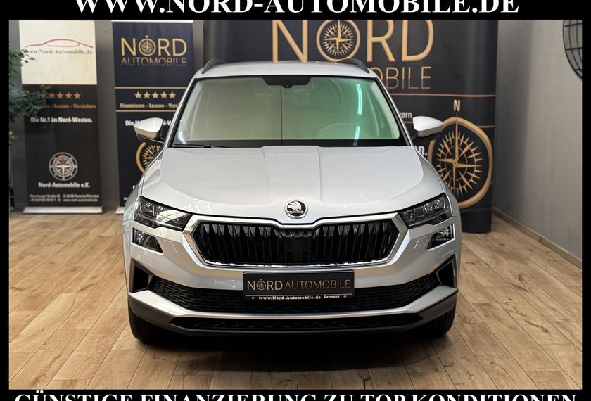Skoda Karoq Karoq Style 2.0 TDI DSG Virt.Cockpit/Kamera/18