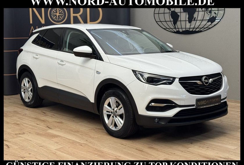 Opel Grandland (X) Grandland X Business 1.2 TURBO *AHK*KAM*LED*SPUR