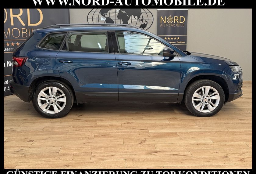 Skoda Karoq Karoq Ambition 2.0 TDI DSG Navi/PDC/SHZ/17