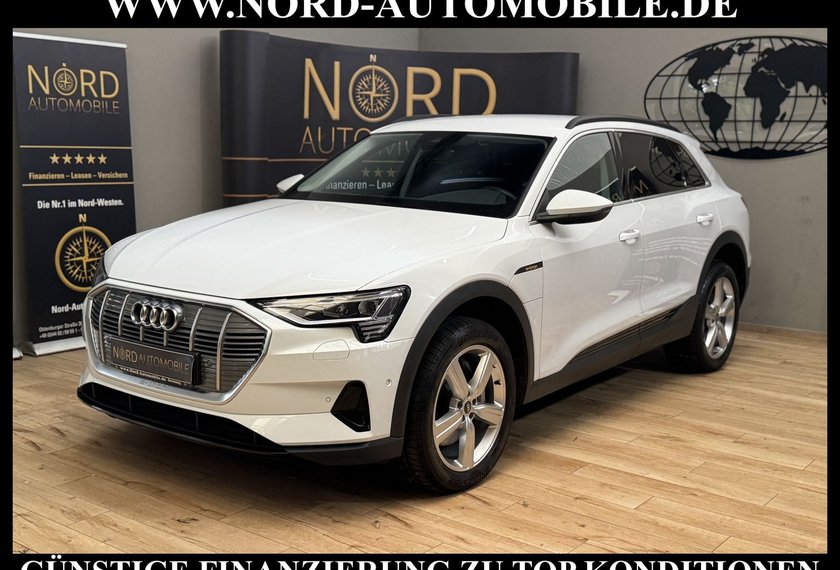 Audi e-tron e-tron 55 QU.Teilleder/Navi/LED/Side&amp;Lane/20