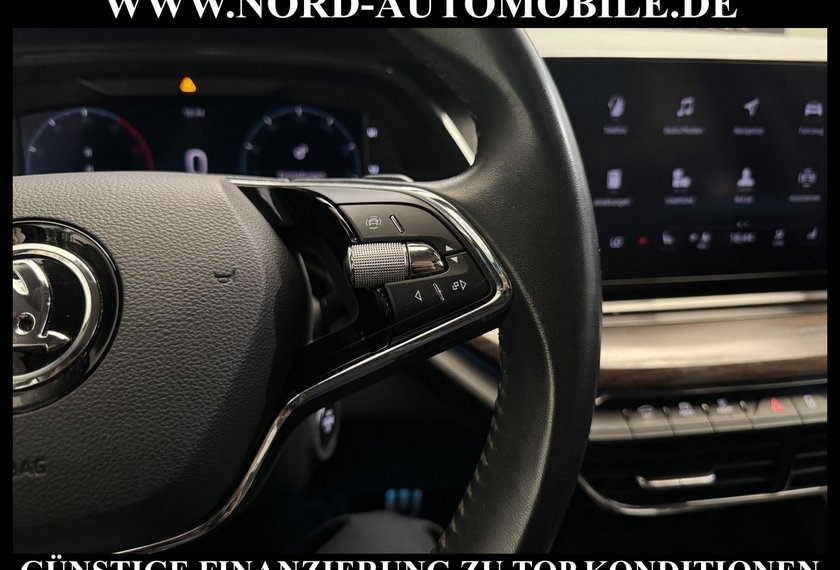 Skoda Octavia Octavia Scout Combi 2.0 TDI DSG AHK/HeadUp/Navi