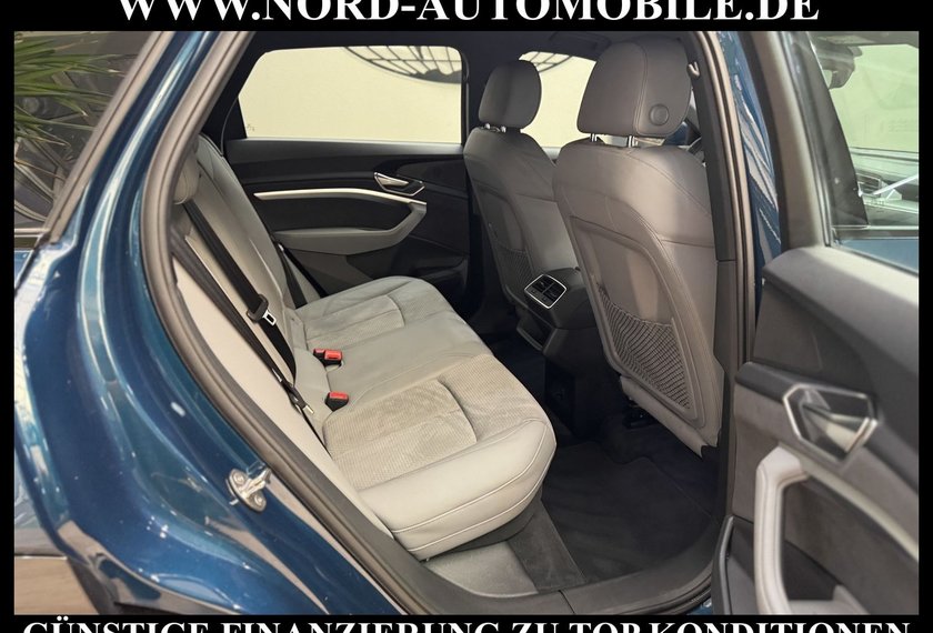 Audi e-tron e-tron 55 QU. S-Line Int. Matrix/B&amp;O/21/Hea-Up/