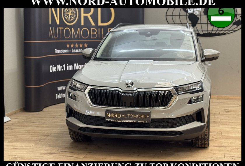 Skoda Karoq Karoq Style 2.0 TDI DSG Virt.Cockpit/AHK/Navi/18