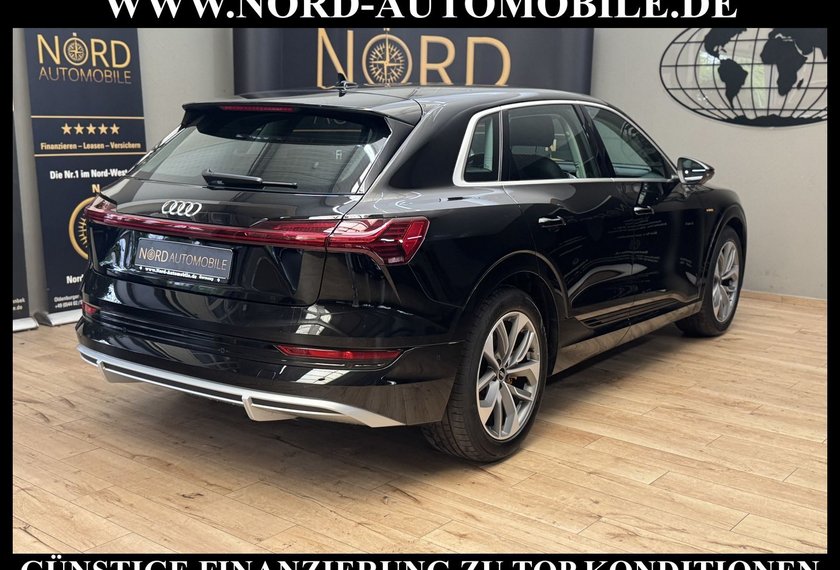 Audi e-tron e-tron 55 S-Line QU.Leder/Matrix/B&amp;O/Kamera/20