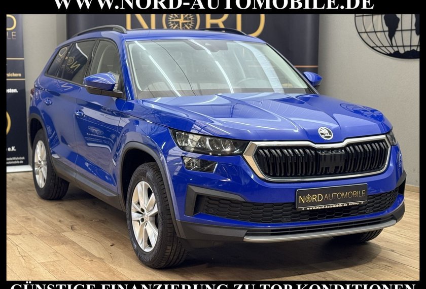 Skoda Kodiaq Kodiaq 2.0 TDI DSG Ambition *LED*STHZ*VIRT*ACC*