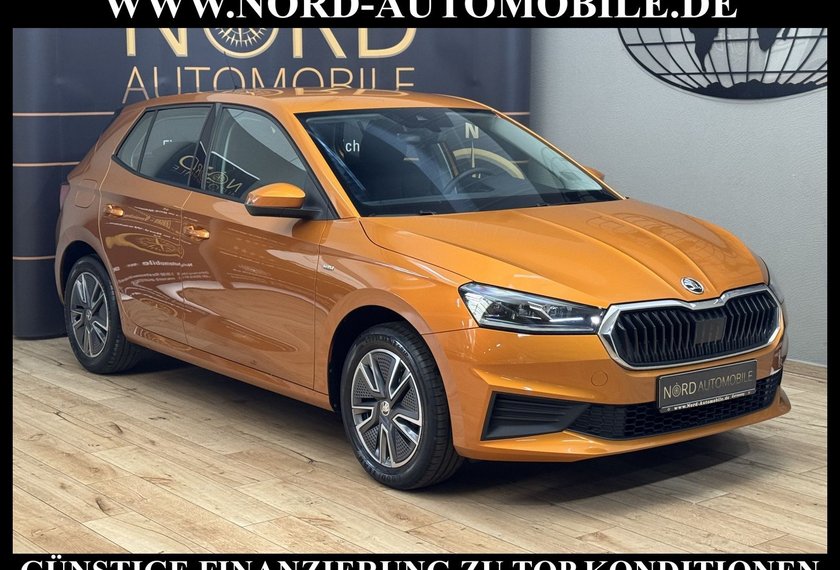 Skoda Fabia Fabia Ambition Tour 1.0 MPI LED/PDC/Klima/16