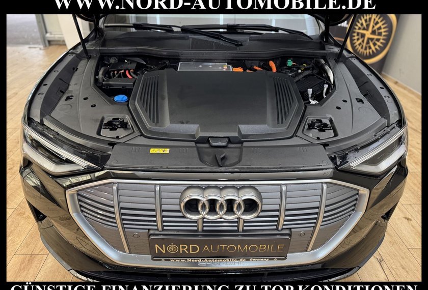 Audi e-tron e-tron 50 S-Line Int. Teilleder/AHK/Matrix/B&amp;O/