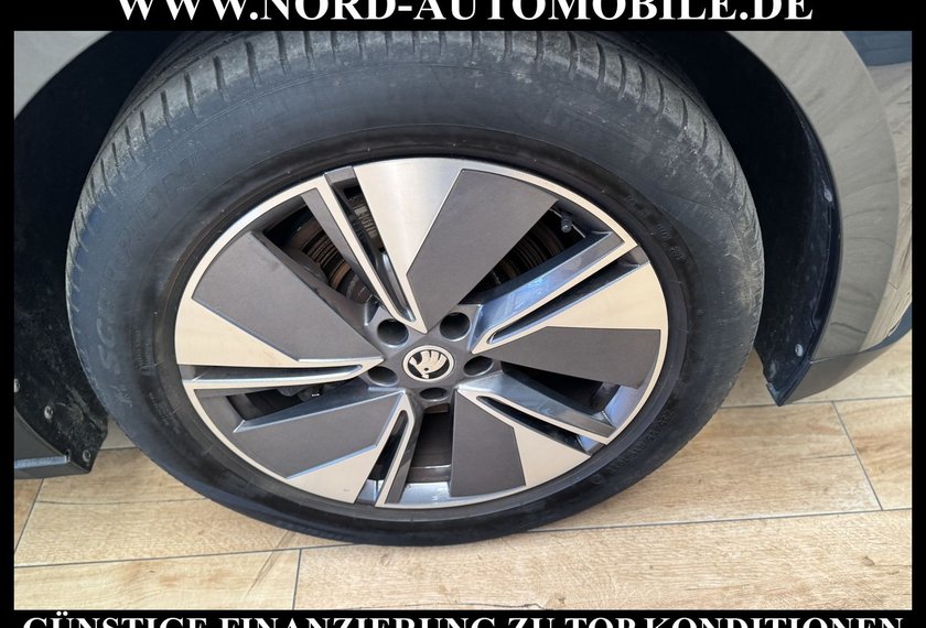 Skoda Enyaq Enyaq iV 80 ecoSuite Leder/Wärmepumpe/Head-Up/