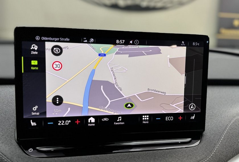 Skoda Enyaq Enyaq iV 80 Loft Automatik Kamera/Navi/LED