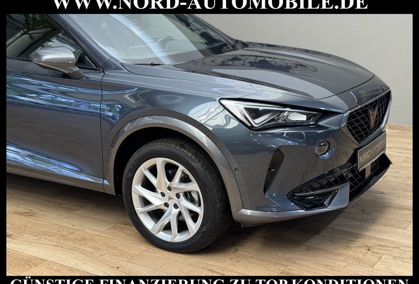 Cupra Formentor Formentor 1.5 TSI DSG Kamera/Navi/LED