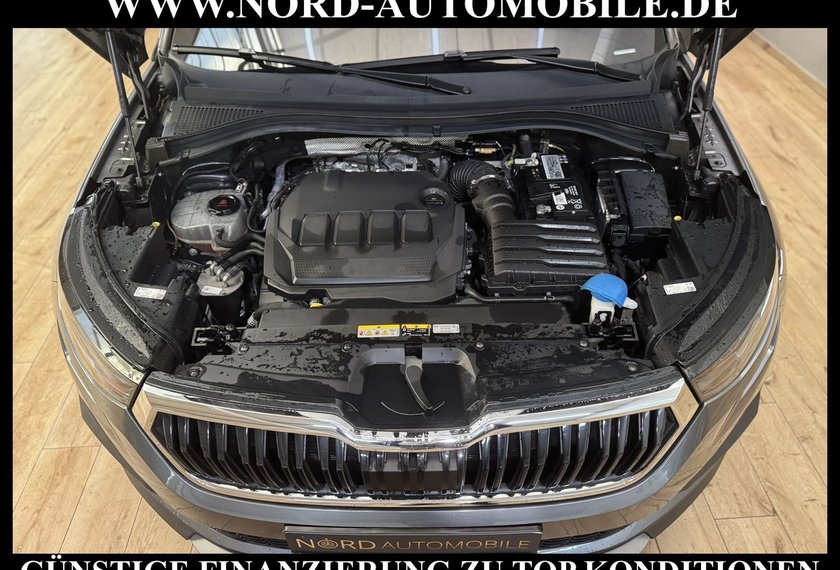 Skoda Kodiaq Kodiaq Ambition 2.0 TDI DSG Kamera/Navi/LED