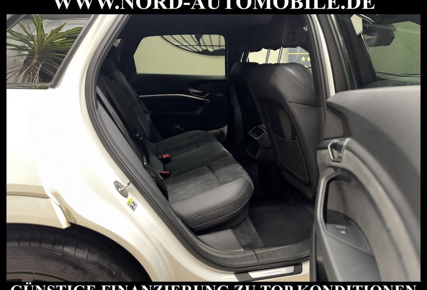 Audi e-tron e-tron 55 S-Line QU.Matrix/ACC/Kamera/21/Leder