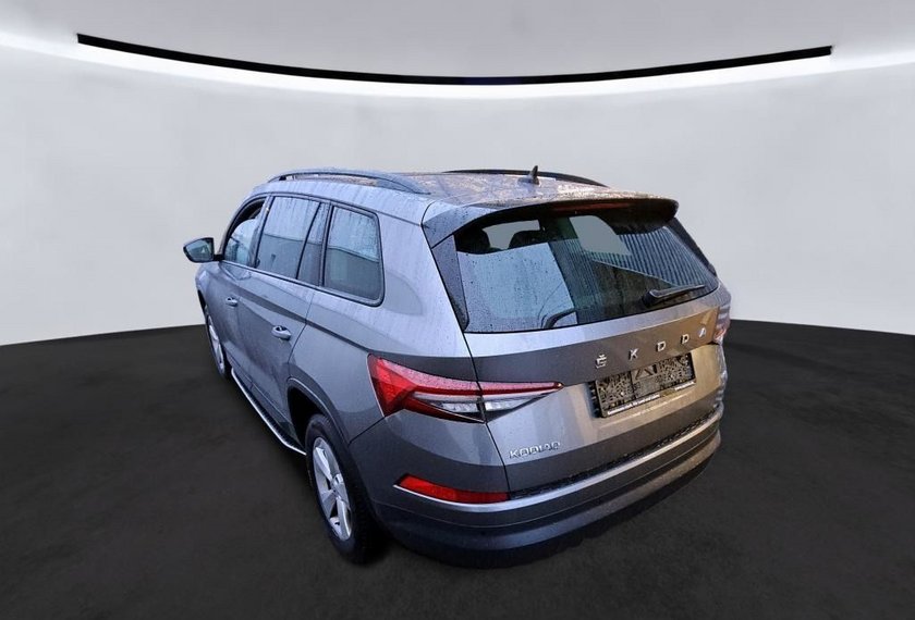 Skoda Kodiaq Kodiaq Ambition 2.0 TDI DSG Leder/AHK/Trittbrett