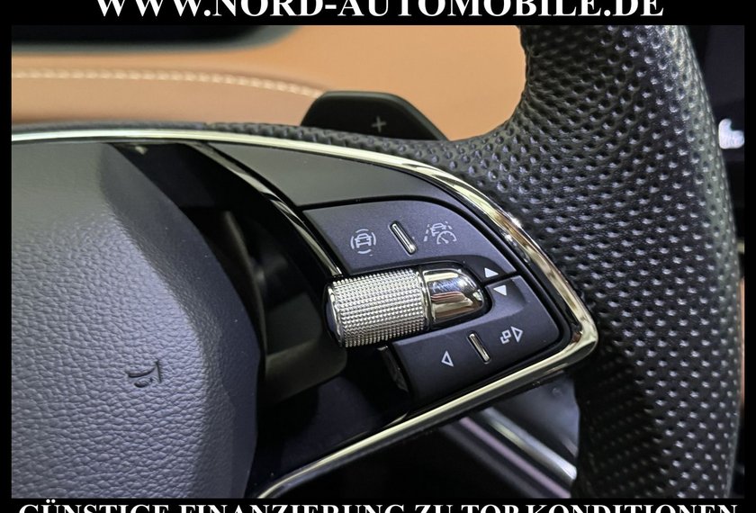 Skoda Enyaq Enyaq iV 80 ecoSuite Wärmepumpe/Leder/HeadUp/20