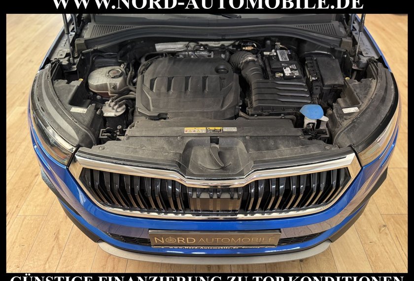Skoda Kodiaq Kodiaq Ambition 2.0 TDI DSG 7-Sitzer/Pano/Virt.C