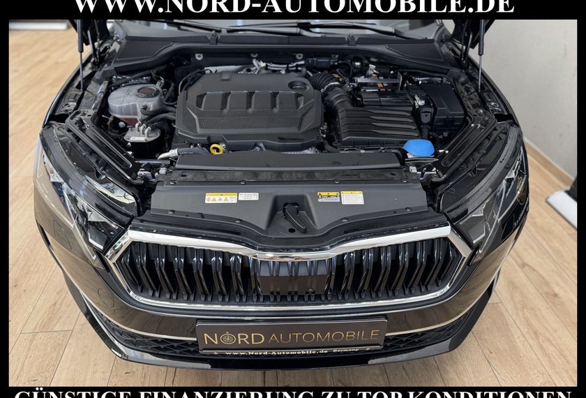 Skoda Octavia Octavia Combi TDI DSG SELECTION LODGE *360*AHK*