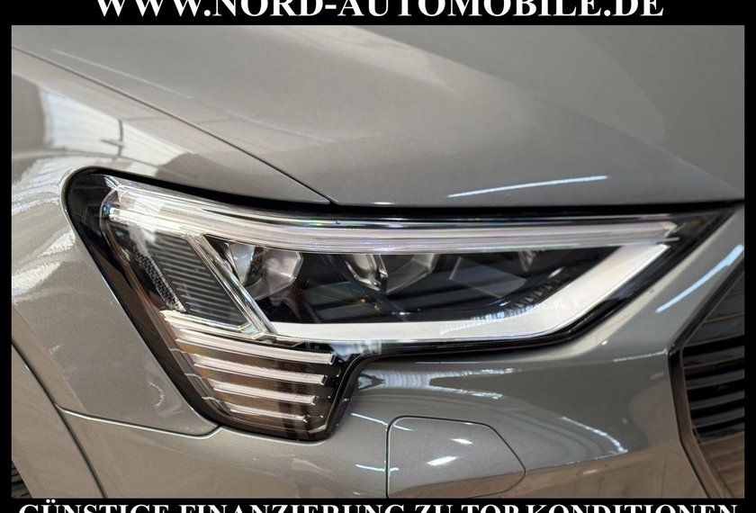 Audi e-tron e-tron 55 QU.S-Line Black Edition Pano/HeadUp/21