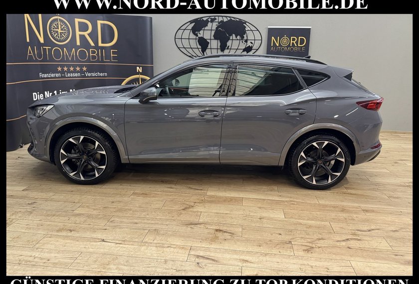 Cupra Formentor Formentor 2.0 TDI DSG Leder/Kamera/Navi/19/