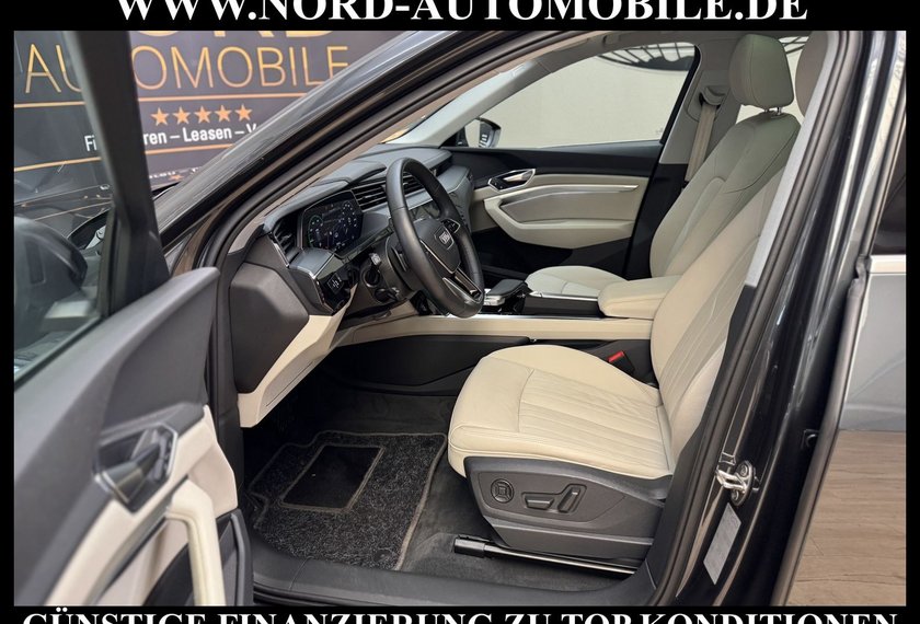 Audi e-tron e-tron 50 QU.Leder/Kamera/AHK/Panorama/21