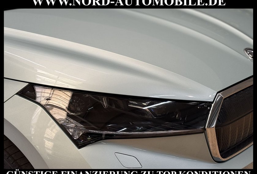 Skoda Enyaq Enyaq iV 80 ecoSuite Wärmepumpe/Leder/HeadUp/20