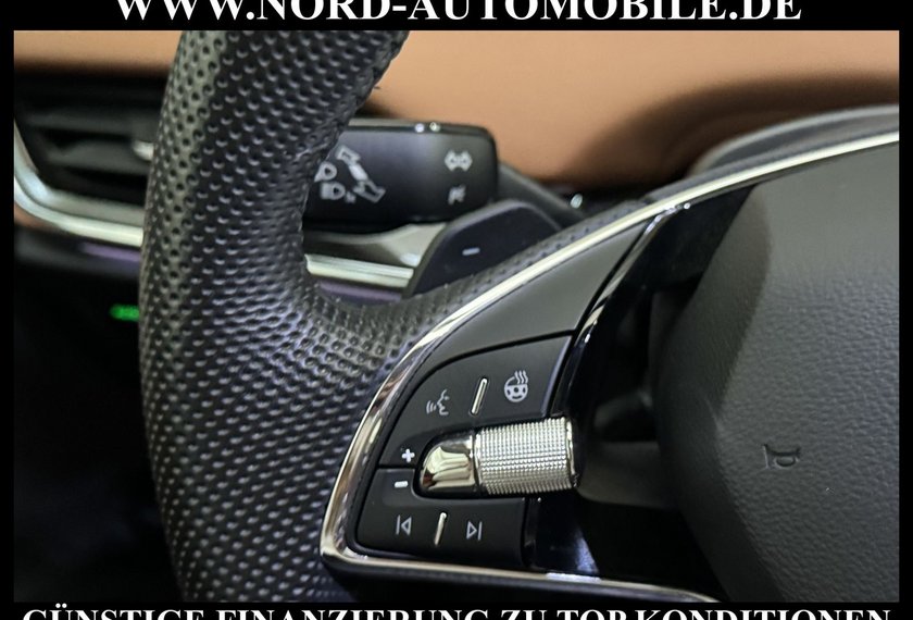 Skoda Enyaq Enyaq iV 80 ecoSuite Wärmepumpe/Leder/HeadUp/20