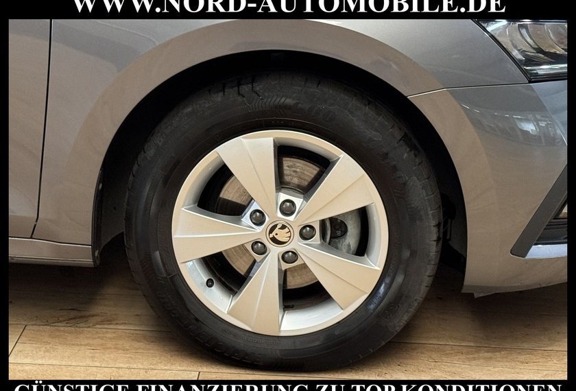 Skoda Octavia Octavia Combi Ambition 2.0 TDI DSG Navi/LED/PDC