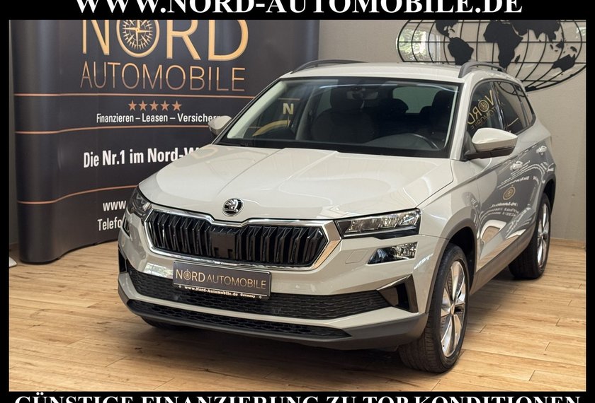 Skoda Karoq Karoq Style 2.0 TDI Navi/Kamera/Virt.Cockpit/18