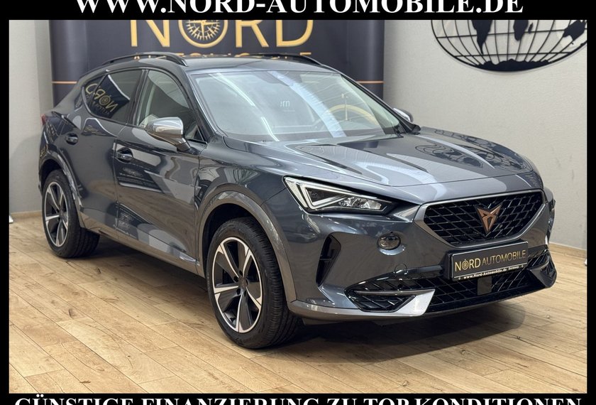 Cupra Formentor Formentor 2.0 TDI DSG AHK/StHZ/Navi/LED/Teillede