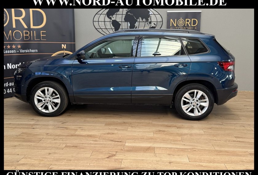 Skoda Karoq Karoq Ambition 2.0 TDI DSG Navi/PDC/SHZ/17