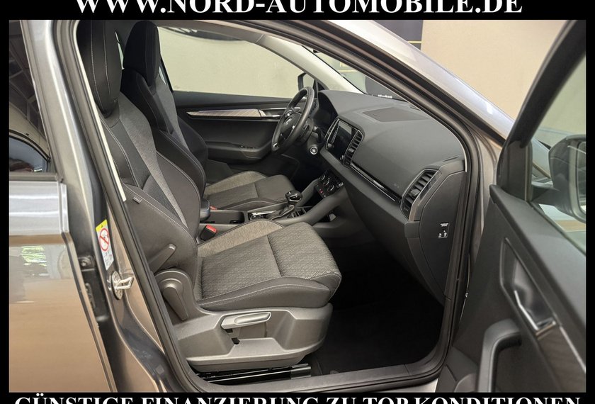Skoda Karoq Karoq Style 2.0 TDI DSG AHK/StHz/Kamera/Virt.Coc