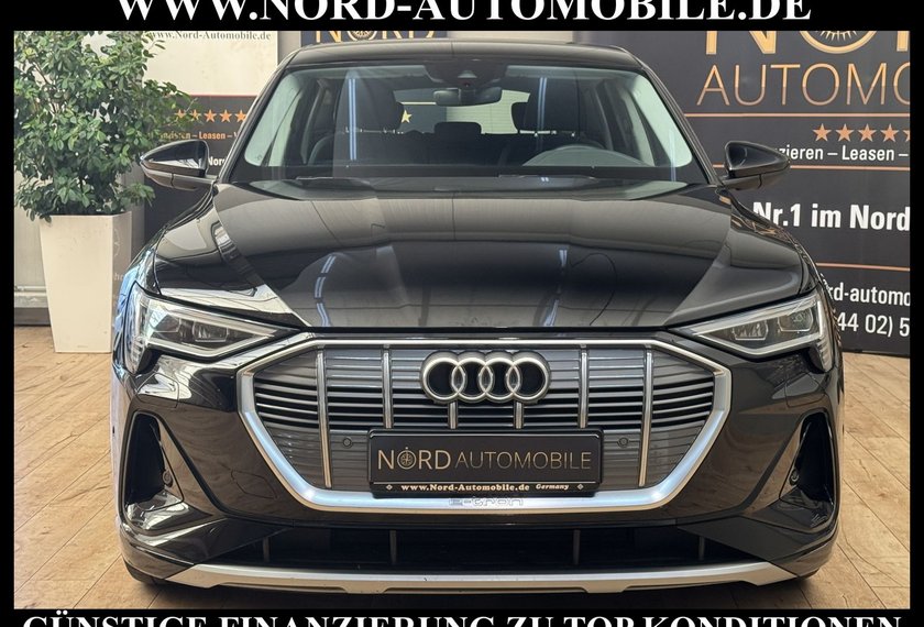 Audi e-tron e-tron 55 S-Line QU. Leder/Matrix/Kamera/20