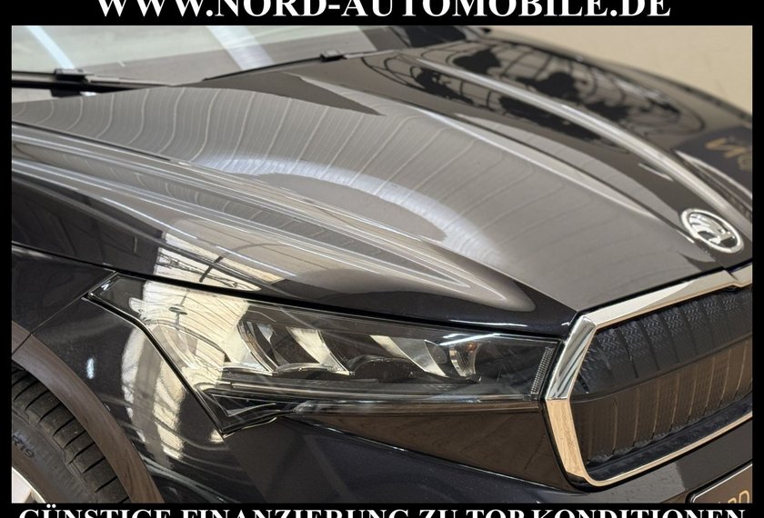 Skoda Enyaq Enyaq iV 60 Eco-Suite Leder/Wärmepumpe/19