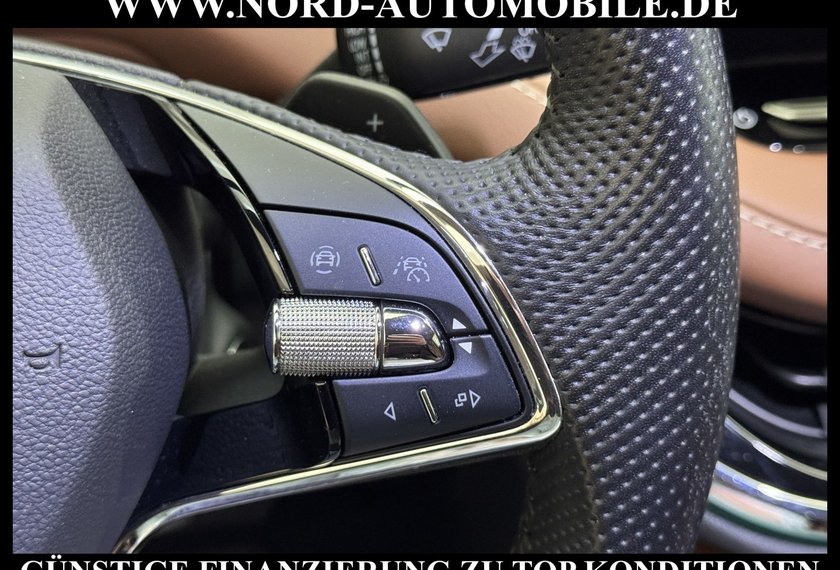 Skoda Enyaq Enyaq iV 60 Eco-Suite Leder/Wärmepumpe/19