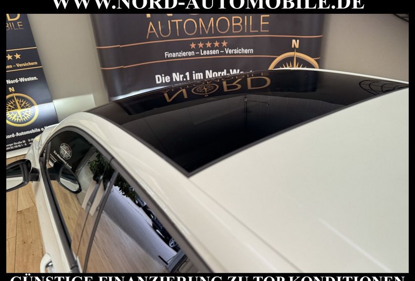 Volkswagen Golf Golf R-Line Black Style 2.0 TSI DSG Leder/Pano/