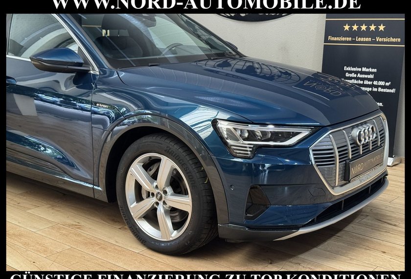 Audi e-tron e-tron 50 QU.S-Line Teilleder/Kamera/Head-Up/20