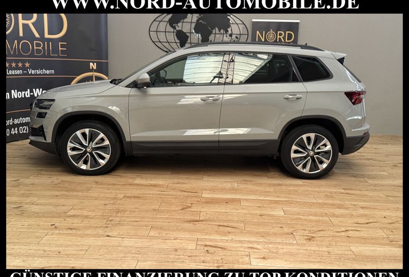 Skoda Karoq Karoq Style 2.0 TDI Navi/Kamera/Virt.Cockpit/18