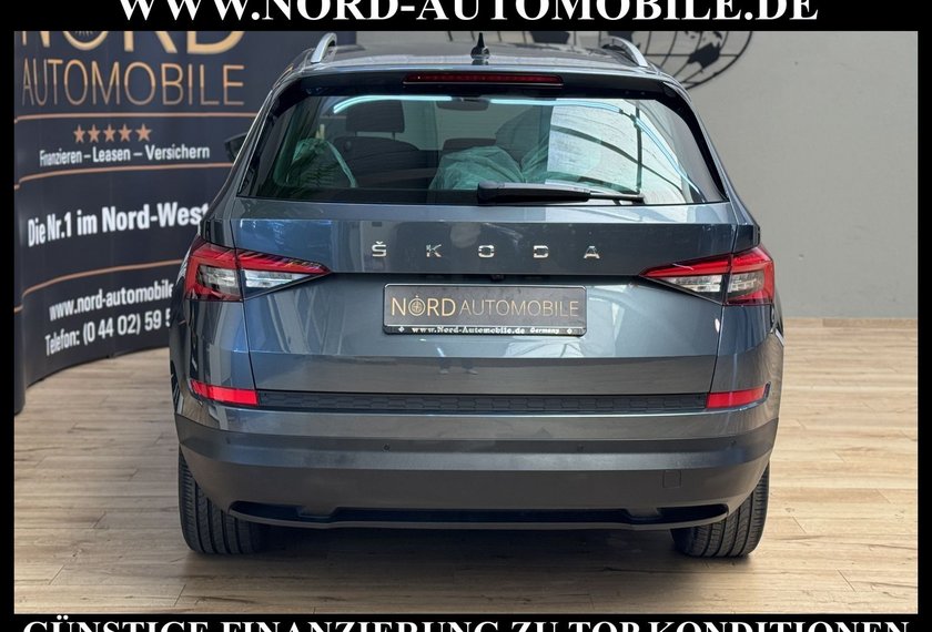 Skoda Kodiaq Kodiaq 2.0 TSI DSG Area View/Navi/LED/19/
