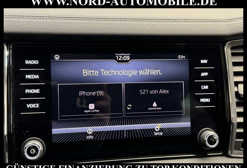 Skoda Kodiaq Kodiaq Style 2.0 TSI DSG  Teilleder/Navi/Kamera/