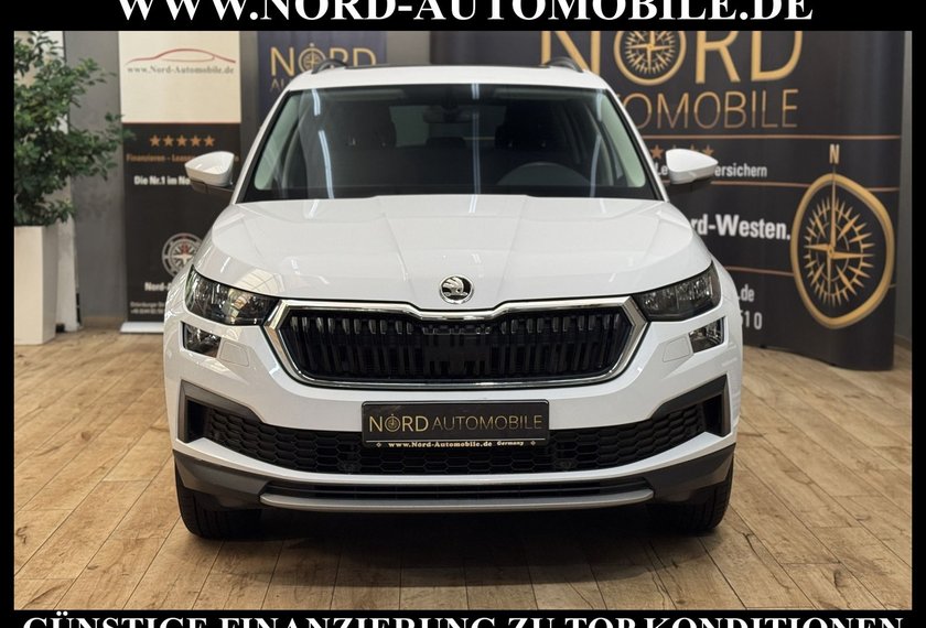 Skoda Kodiaq Kodiaq 2.0 TDI Ambition 4x4 DSG StHz/Pano/LED/