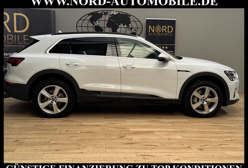 Audi e-tron e-tron 55 QU.Teilleder/Navi/LED/Side&amp;Lane/20
