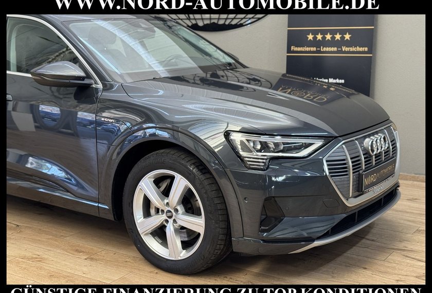 Audi e-tron e-tron 55 QU.Advanced Automatik Kamera/Navi/LED