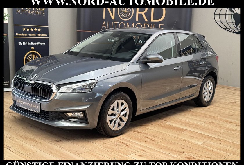 Skoda Fabia Fabia Ambition 1.0 TSI LED/Klima/PDC/15