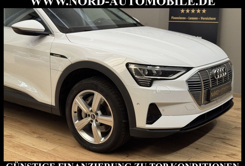 Audi e-tron e-tron 55 QU.Teilleder/Navi/LED/Side&amp;Lane/20