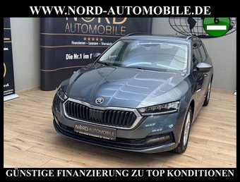 Skoda Octavia Octavia Combi Ambition 2.0 TDI DSG Kamera/AHK/