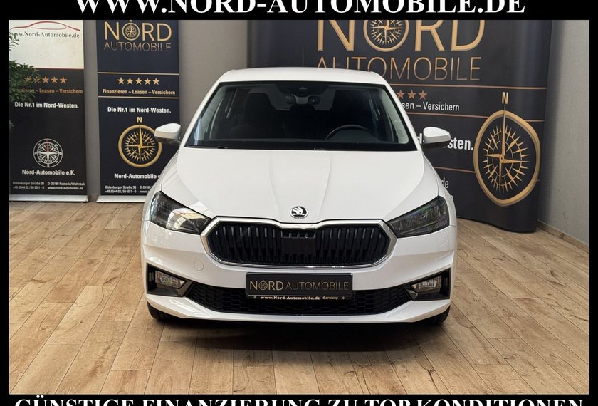 Skoda Fabia Fabia Ambition 1.0 TSI LED/Klima/PDC/15