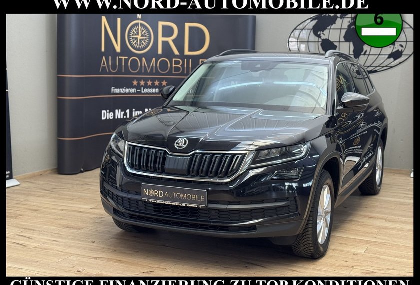 Skoda Kodiaq Kodiaq 2.0 TSI DSG Ambition 4x4 *LEDER*AHK*STHZ*