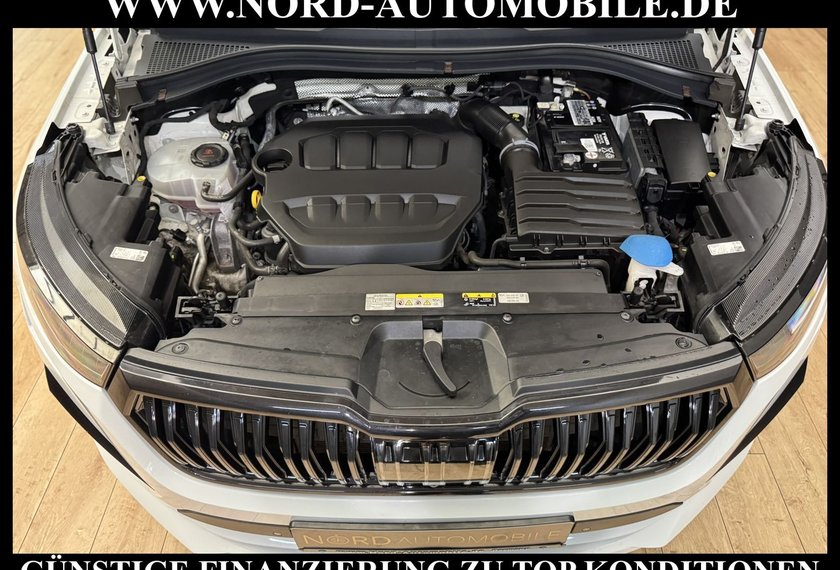 Skoda Kodiaq Kodiaq RS 2.0 TSI DSG Pano/AHK/Leder/20/StHz/