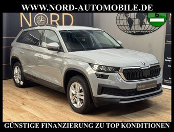 Skoda Kodiaq Kodiaq 2.0 TDI DSG Ambition LED*AHK*StHz*Virtual