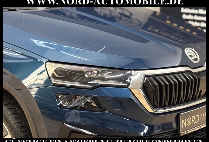 Skoda Karoq Karoq Style 2.0 TDI DSG Matrix/Kamera/18/